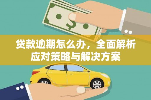 兰考贷款逾期怎么办，全面解析应对策略与解决方案