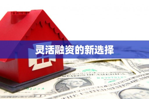 兰考灵活融资的新选择