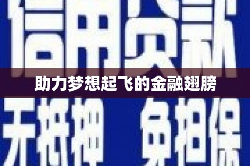 兰考助力梦想起飞的金融翅膀
