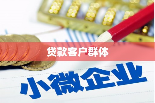 兰考贷款客户群体