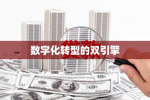 兰考数字化转型的双引擎