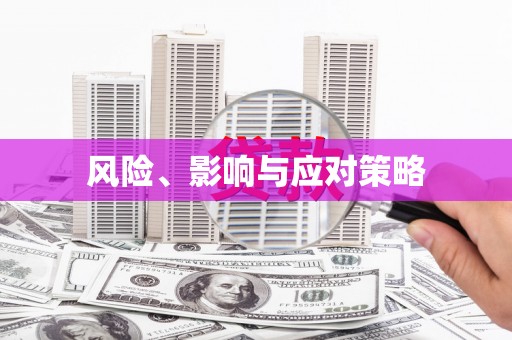 兰考风险、影响与应对策略