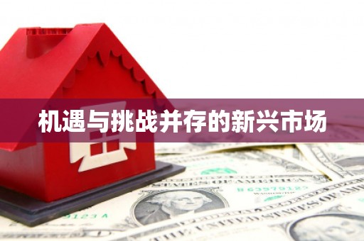 兰考机遇与挑战并存的新兴市场