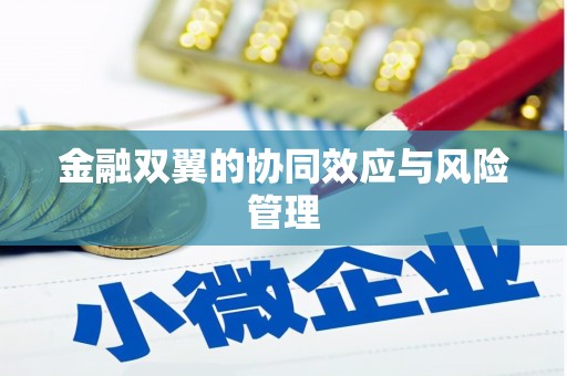 兰考金融双翼的协同效应与风险管理