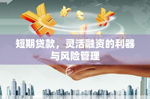 兰考短期贷款，灵活融资的利器与风险管理